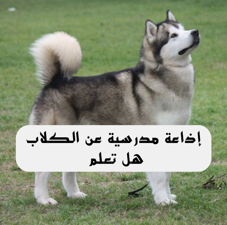 هل تعلم عن الكلاب قصير ومفيد للإذاعة المدرسية