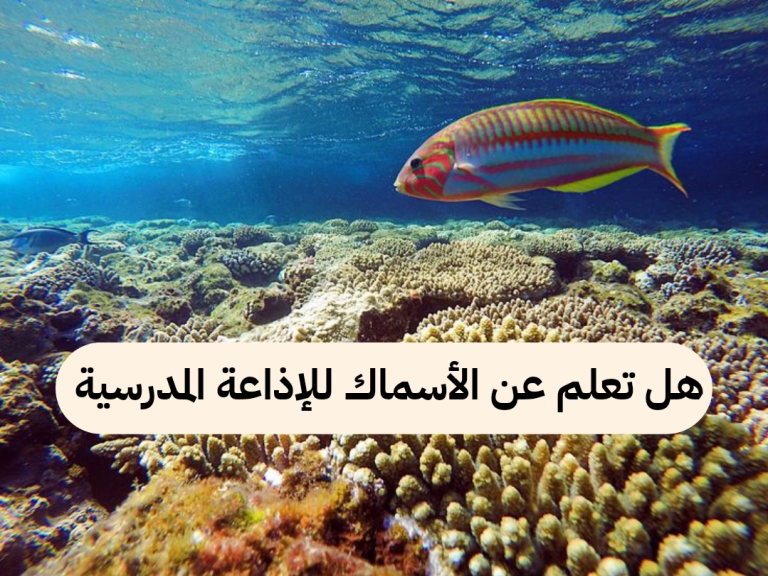 هل تعلم عن الأسماك فوائدها وأنواعها للإذاعة المدرسية