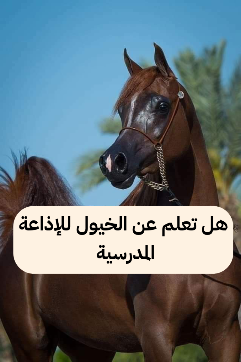 هل تعلم عن الخيول قصير للإذاعة المدرسية